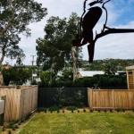 Yarravel NSW Cruises Travel