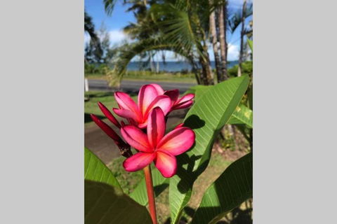 Mission Possible - Travel Search 6