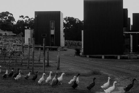 Barn Hives Yallingup - Travel Search 1
