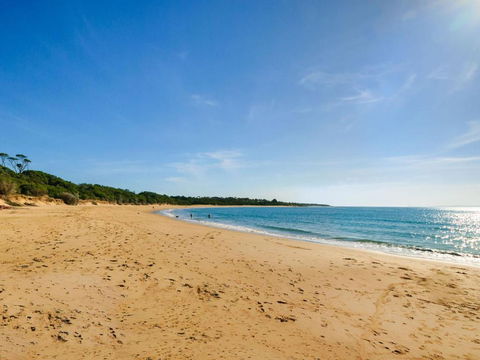 Treetops At Ventnor - Tourism Guide 5