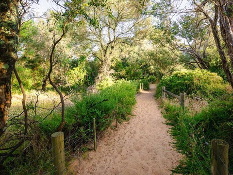 Retreat On Albert - Travel Agents 5