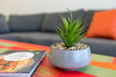 Urban Jungle In The Heart Of The CBD - Travel Search 1