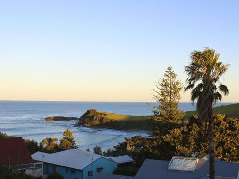 WHALE WATCH FOR FOUR Gerringong 4pm Check Out Sundays - Tourism Guide 3