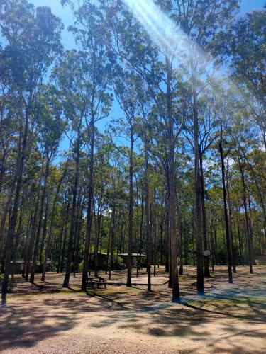 Lakes Entrance Log Cabins - Cruises Travel 1