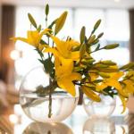 KUI Manhattan Apartments - Tourism Guide 0