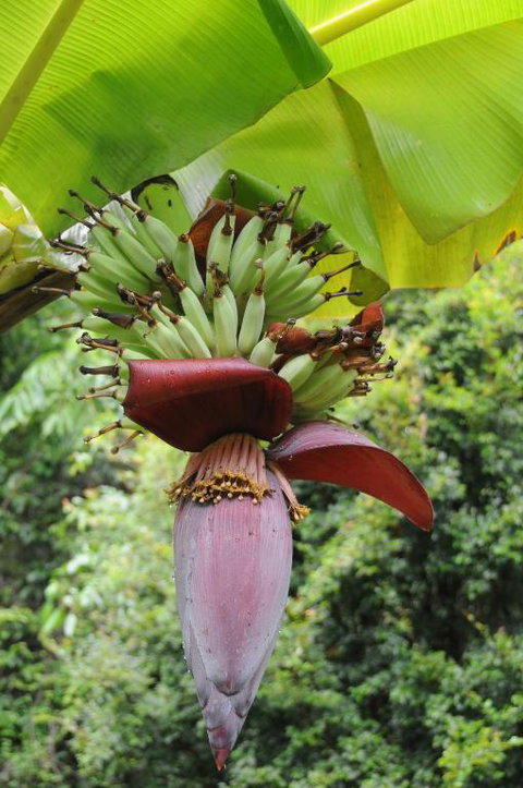 Wildwood - Tourism Guide 6