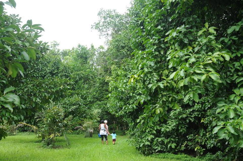 Wildwood - Tourism Guide 1