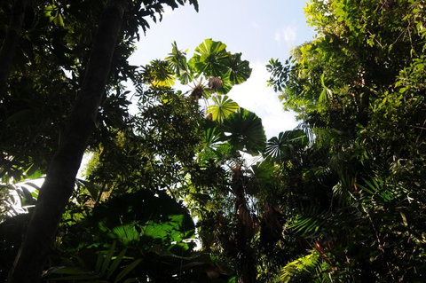 Wildwood - Tourism Guide 5