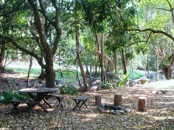 Mt Warning Holiday Park - Travel Agents 2
