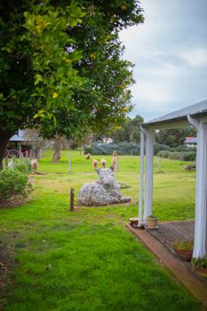 Davidsons Cottage - Travel Agents 5