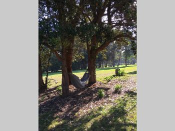 The 5th Green - Travel Search 5