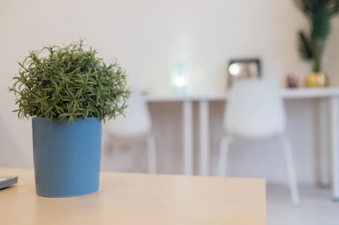 Willis Wolli Crk 35 - Tourism Guide 3