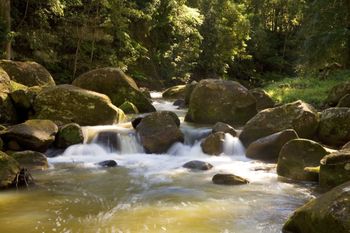 The Cedars Cottages - Tourism Guide 2