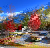 Beechworth Lake Sambell Caravan Park - Travel Agents