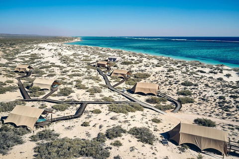 Sal Salis - Travel Agents 1