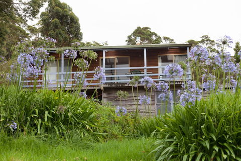 Bombina Cottages - Tourism Guide 0