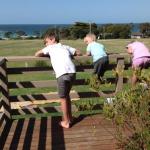 Beachend Bicheno - Tourism Guide 0