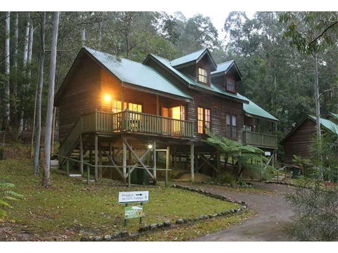 Barrington Wilderness Cedar Lodge Accommodation - Tourism Guide 1