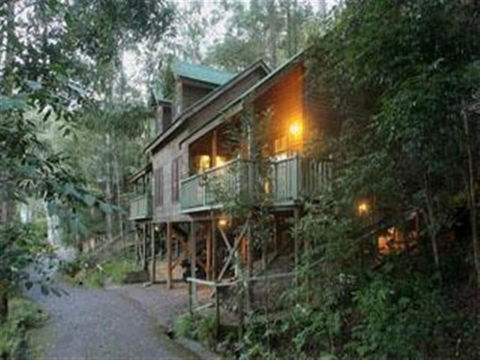 Barrington Wilderness Cedar Lodge Accommodation - Tourism Guide 2