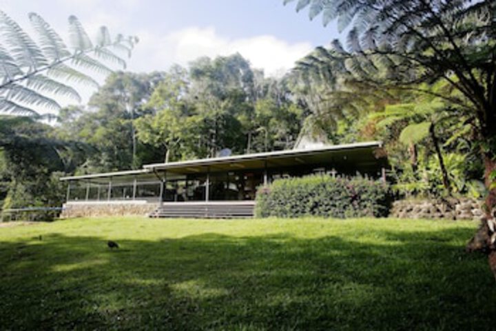 Lake Eacham QLD Travel Search