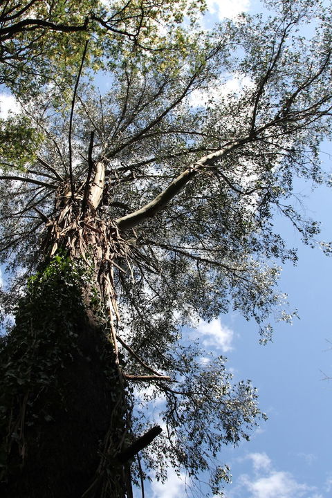 Gatehouse Cottage At Merrow Cottages - Mt Dandenong - Travel Agents 4