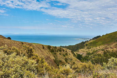 Great Ocean Walk Retreat - Travel Search 2