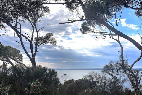 Wanderers Rest Of Kangaroo Island - Tourism Guide 7