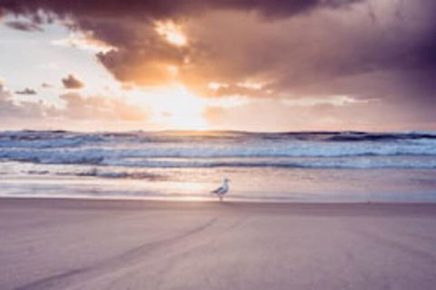 Blue Waters Motel - Tourism Guide 0