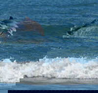 Summerhills Retreat Byron Bay - Travel Agents