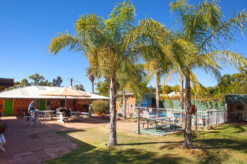 Alice Lodge Backpackers - Tourism Guide 3