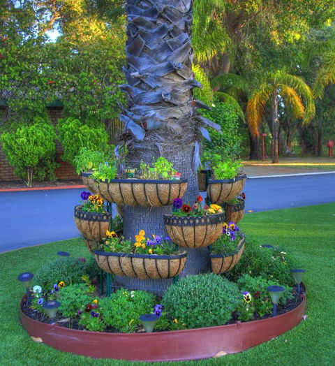 Mandurah Caravan & Tourist Park - Cruises Travel 4
