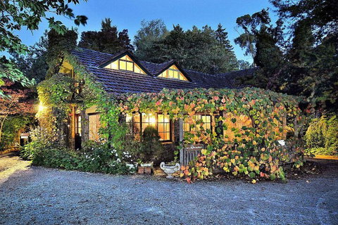 Arnica Views - Travel Search 3