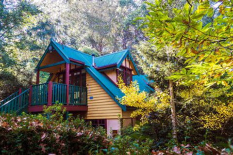 Arnica Views - Travel Search 0