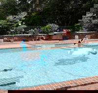 Mt Tamborine Motel - Cruises Travel