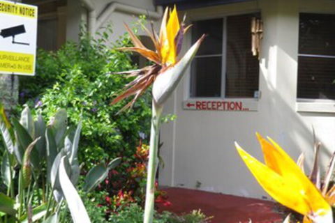 Ocean Shores Motel - Tourism Guide 2
