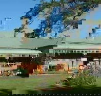 Butterfly Farm
