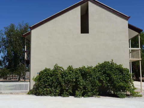 Coonawarra Motor Lodge - Travel Agents 0