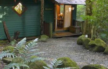 Springbrook Lyrebird Retreat - Tourism Guide 0
