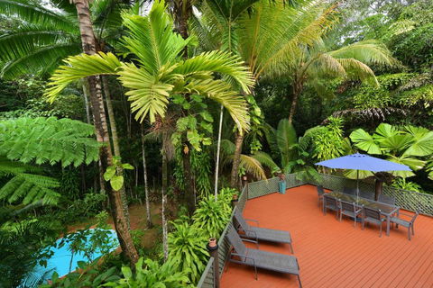 Wait A While Daintree - Tourism Guide 3
