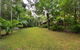 Wait A While Daintree - thumb 1
