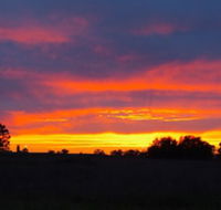 Centretown Motel Nagambie - Travel Agents