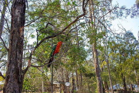 Kalimna Woods Cottages - Tourism Guide 2