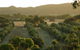 Bentwood Olive Grove Accommodation - thumb 4