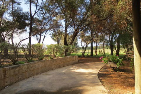 Bentwood Olive Grove Accommodation - Tourism Guide 3