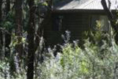 Twin Falls Bush Cottages - Tourism Guide 0