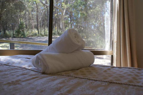 Twin Falls Bush Cottages - Tourism Guide 5