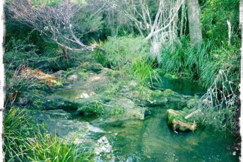 Twin Falls Bush Cottages - Tourism Guide 2