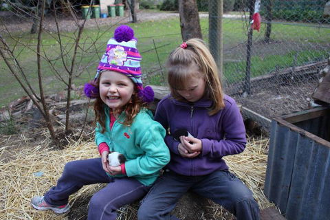 Fernleigh Farmstay & Bike Park - Tourism Guide 3