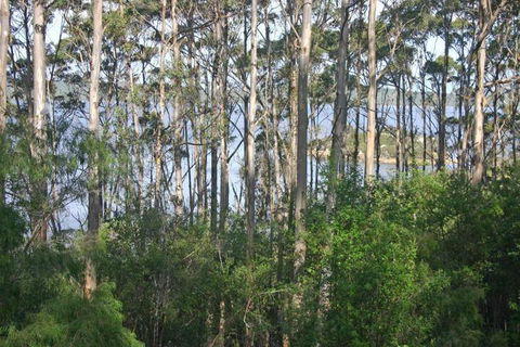 Honeymoon View - Tourism Guide 7