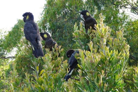 Eagles Rise Tasmania - Travel Search 5